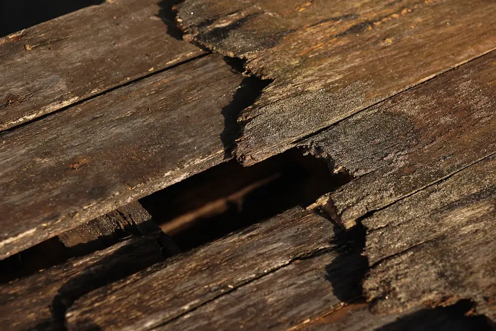 How to Spot Early Signs of Exterior Damage