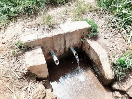 Expert Tips for Effective Water Drainage Around Your Property