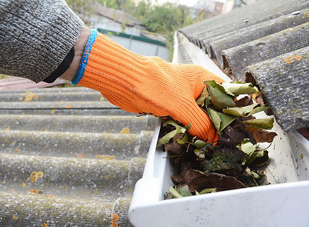 clean out gutter