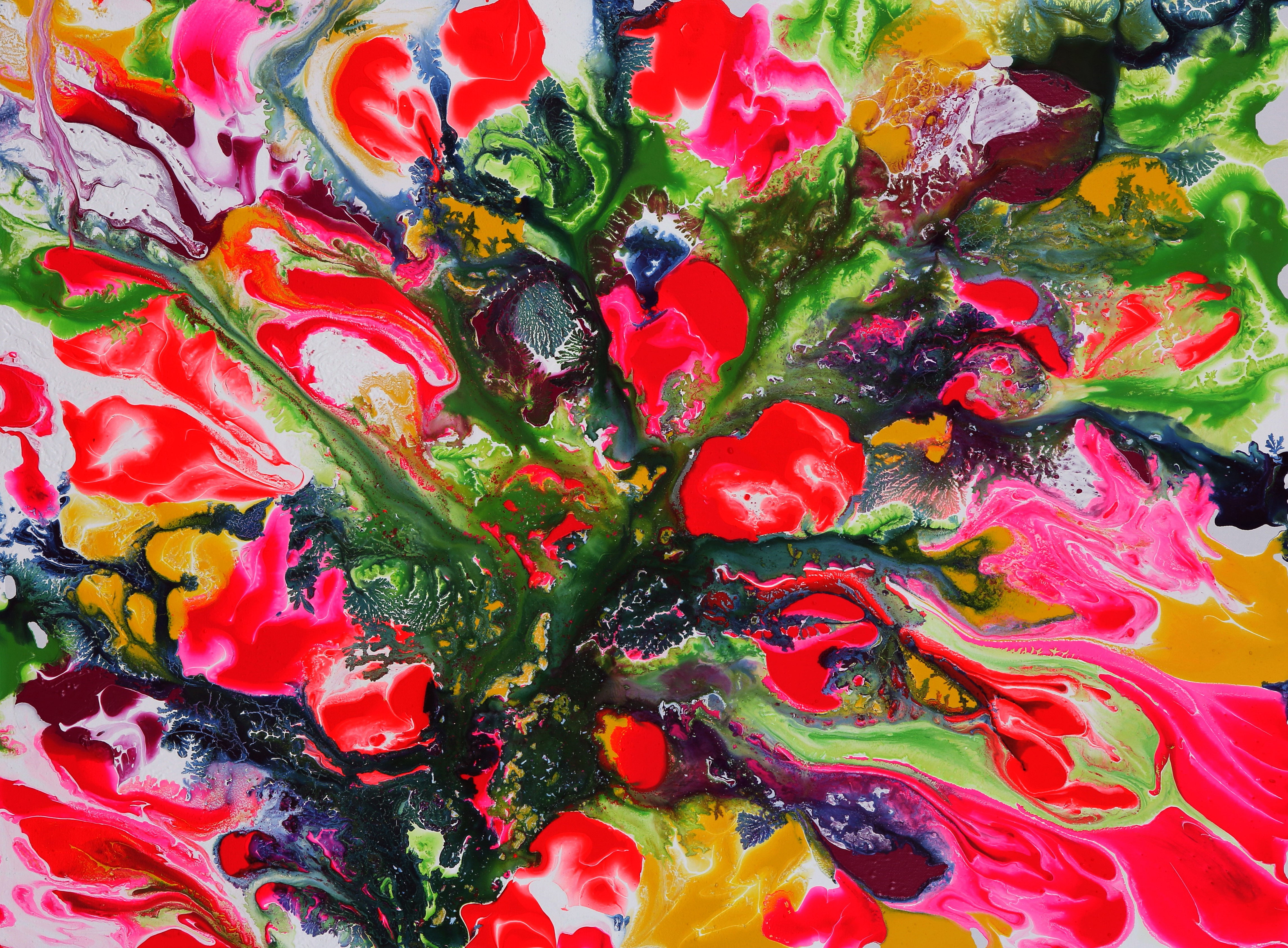 Pink Tulip - Colorblast 30x40