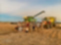 WhatsApp Image 2023-04-02 at 21.23.12_auto_x2_colored_toned_light_ai.jpg