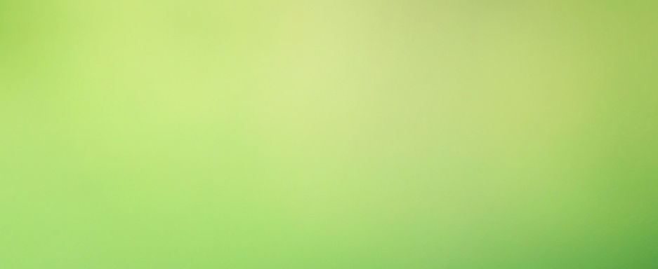 Hintergrund_grün.jpg