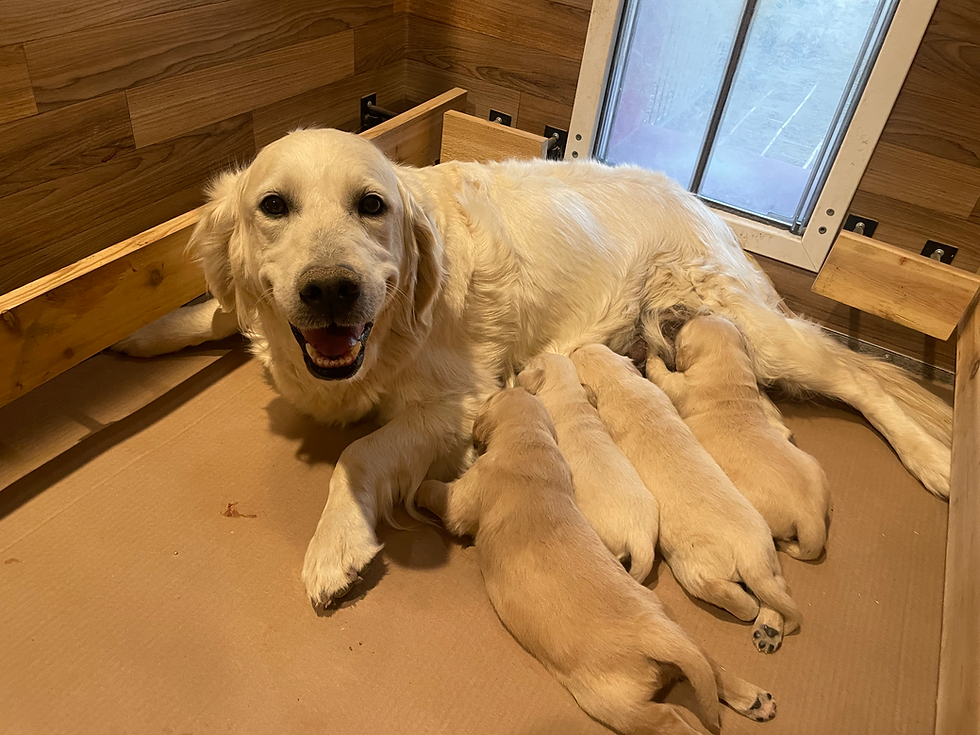 Claire November 2025