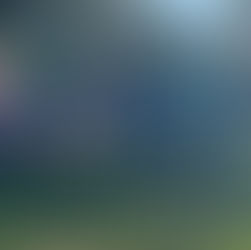 GIRLS ENTERTAIN IN THE BATTLE OF BOSWORTH