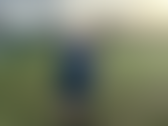 ROSES FINISH YEAR ON A HIGH