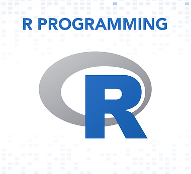 R Program.png