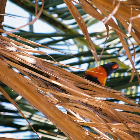 A Day Off In Saint Kilda