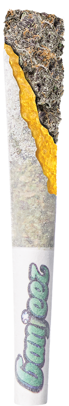 Ganjeez Preroll Render_Main.png