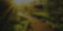 leo-wieling-A41RDv4xoMI-unsplash sunlight path Banner4.jpg