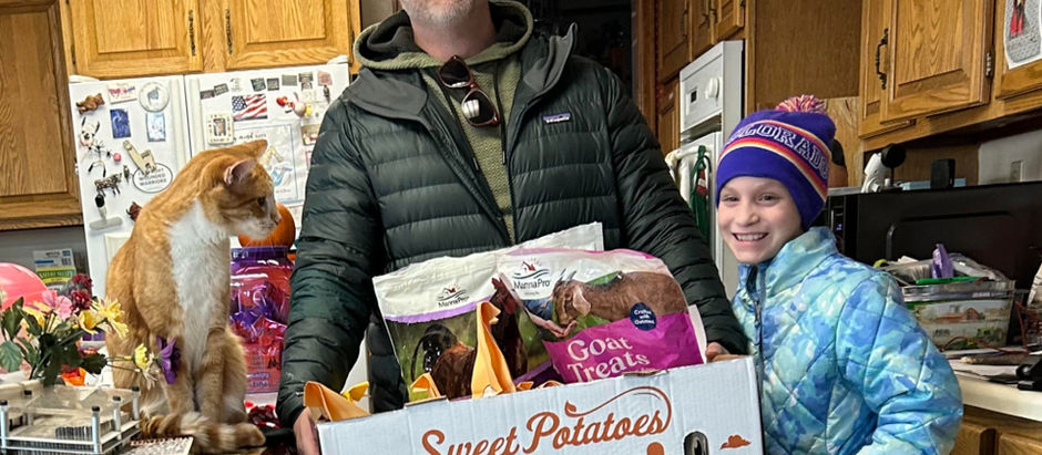 School Project by Chloe