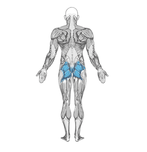 guide-14.gif