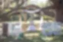 Park_weddings-COVER.webp
