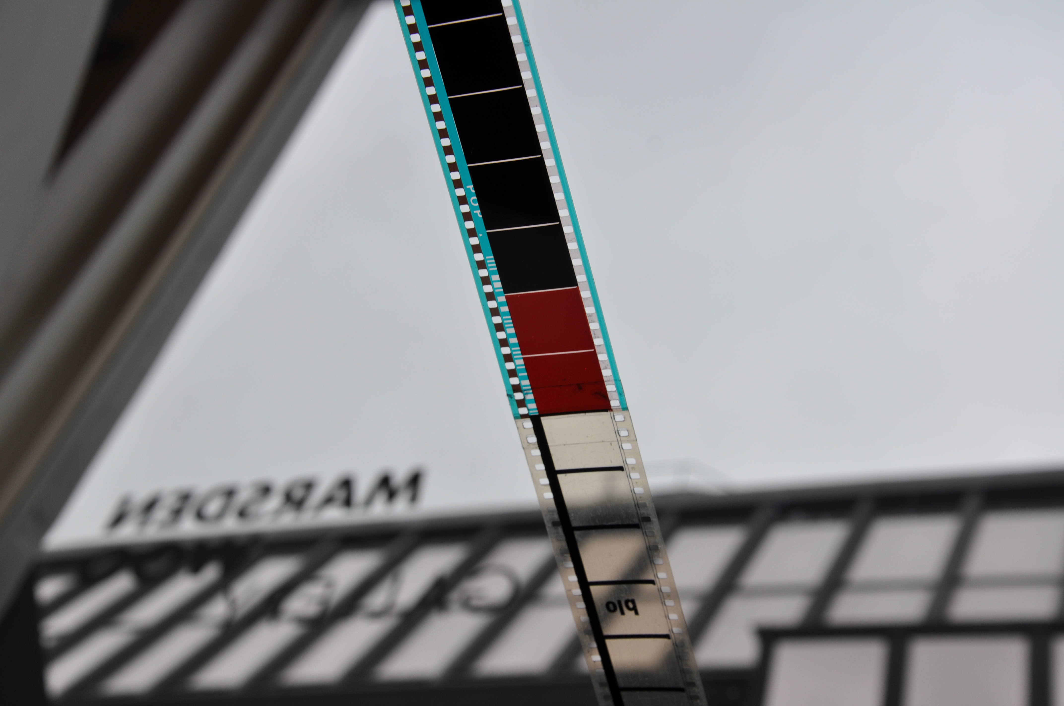 Detail of I am Celluloid (ii)
