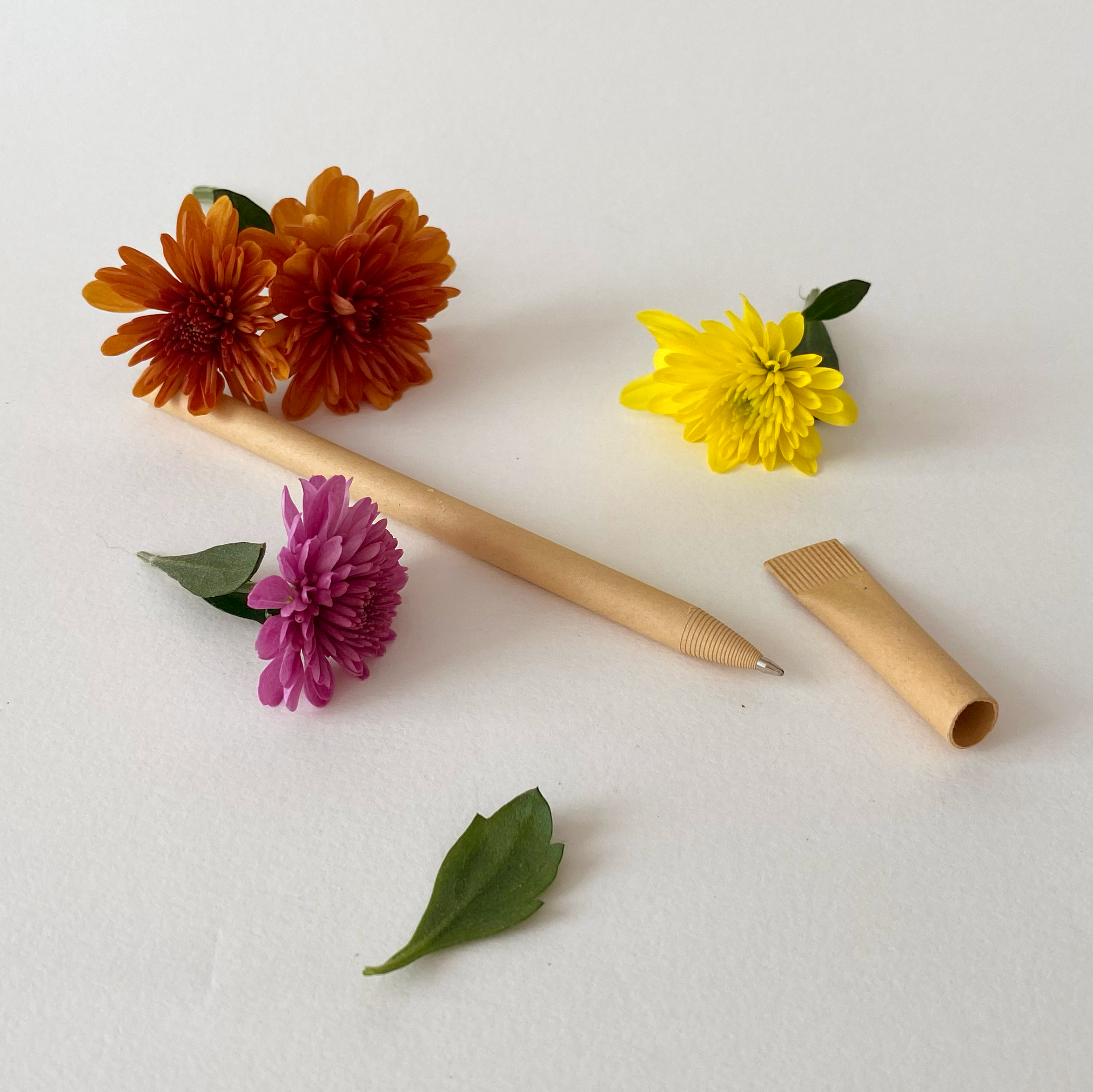 Eco-Friendly Pen