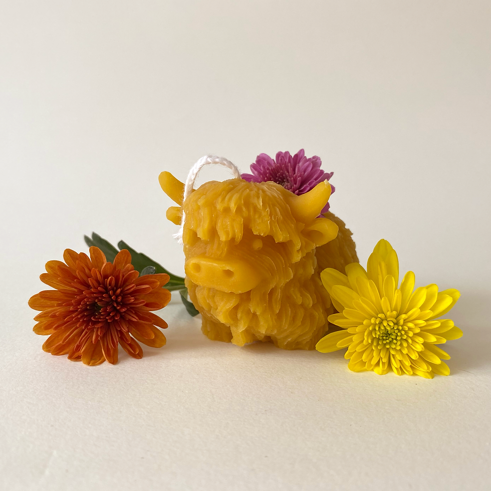 Thumbnail: Beeswax Highland Cow Candle