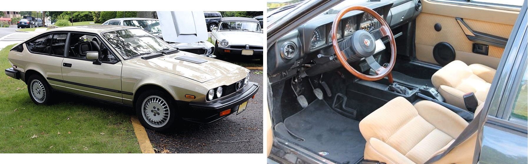 Alfa GTV