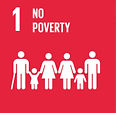 FireShot Capture 221 - THE 17 GOALS - Sustainable Development - [sdgs.un_edited.jpg