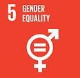 FireShot Capture 221 - THE 17 GOALS - Sustainable Development - [sdgs.un_edited.jpg
