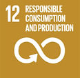 FireShot Capture 221 - THE 17 GOALS - Sustainable Development - [sdgs.un_edited.jpg