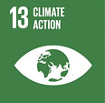 FireShot Capture 222 - THE 17 GOALS - Sustainable Development - [sdgs.un_edited.jpg