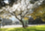 fc77f30e648fed572b9a79b62f1c9d0c.jpeg