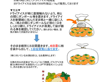 柿の渋抜き ドライアイスでお手軽かんたん