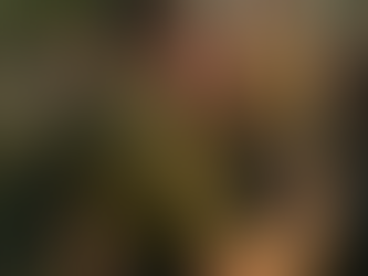 מחקר חדש - מצוקת האימהות ללוחמים ותומכי לחימה והקשר הישיר לחוסן המשרתים