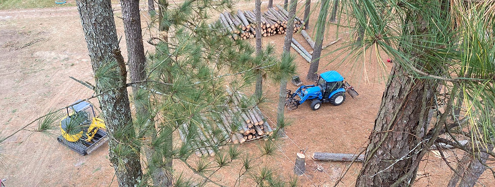 image0 (3)_edited.jpg