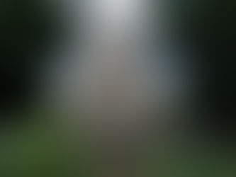 The Birth of the British Church