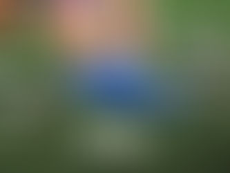 Inter Miami Launches Limited-Edition Collectibles Following Final Match at Former Home Stadium.