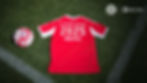 FC Bayern DRUTEX