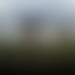 Black Knight Football Club Becomes Sole Shareholder of FC Lorient.