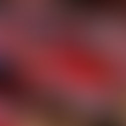 Atlético de Madrid Closes 2025 With Record 151,831 Members, Marking Long-Term Growth in Its Fan Base.