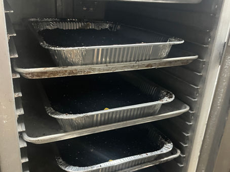 🌱 Harmony Springs Germination Log — January 11, 2026