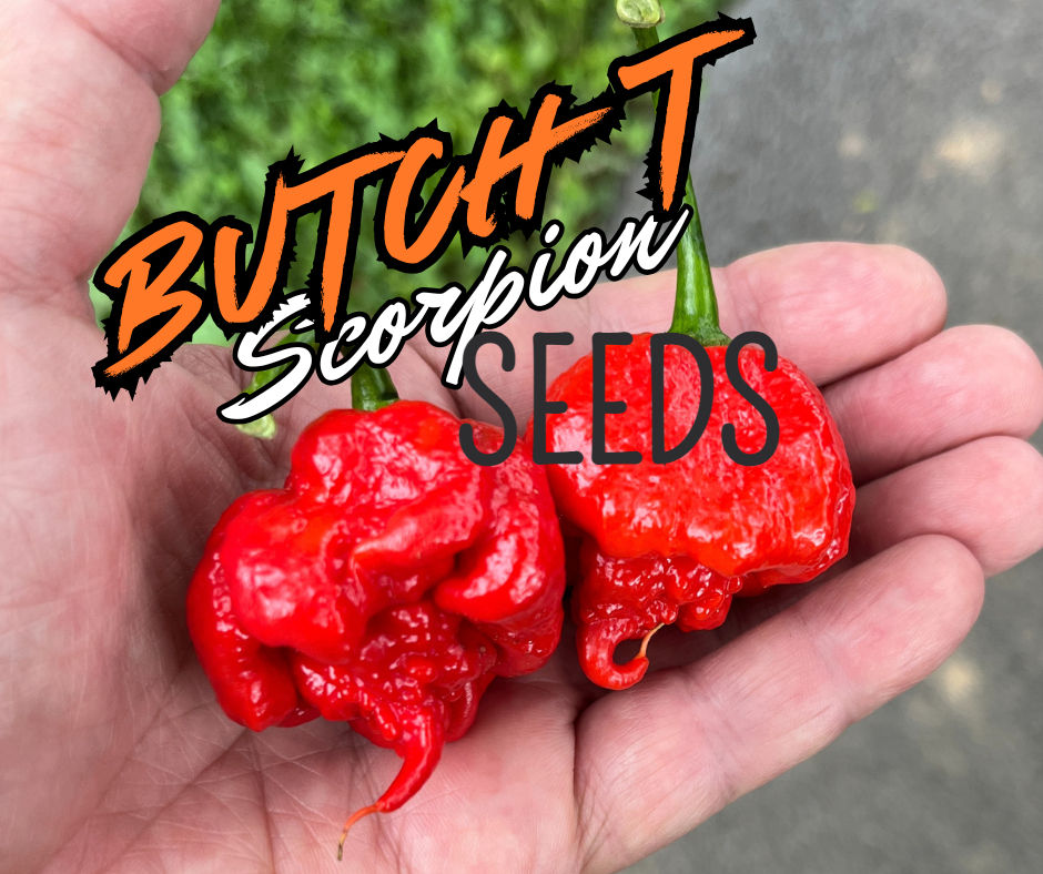Fresh Trinidad “Butch T” Scorpion Superhot Pepper Box from Harmony Springs Farm