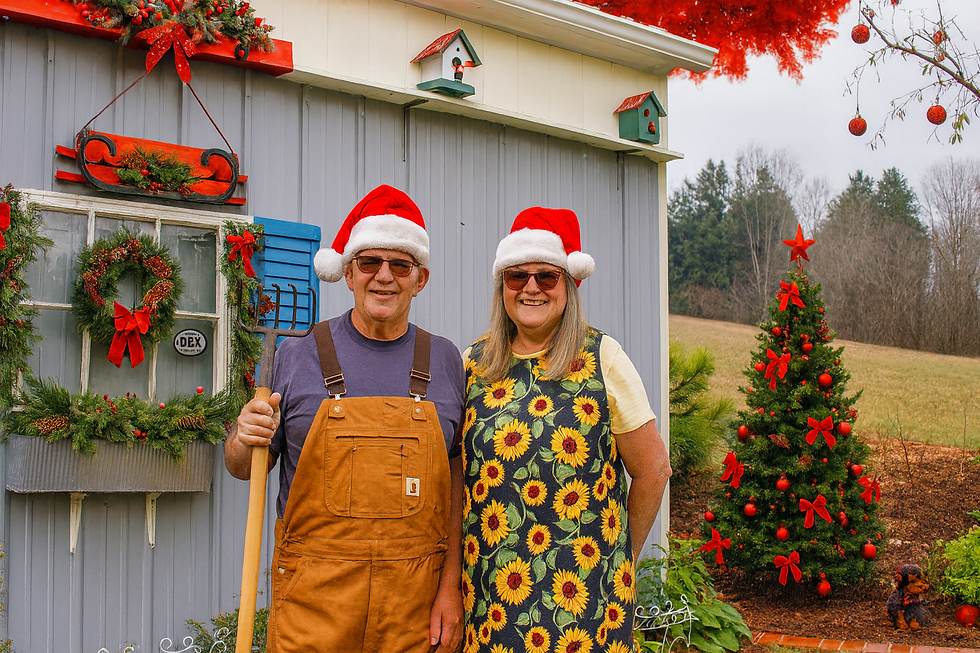Winter Pepper Bed Prep: Soil, Irrigation, and High Tunnel Upgrades for a Hotter 2026 Season