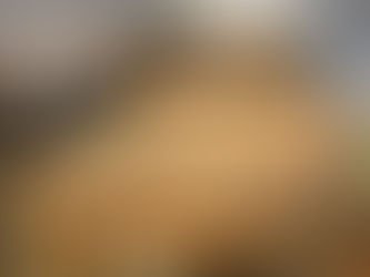 Graduation Day: Moving 1,800+ Seedlings to the Nursery