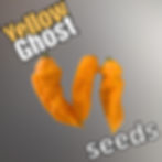 Yellow Ghost Pepper Seeds (Bhut Jolokia) from Harmony Springs Farm – bright yellow superhot pepper with fruity citrus flavor