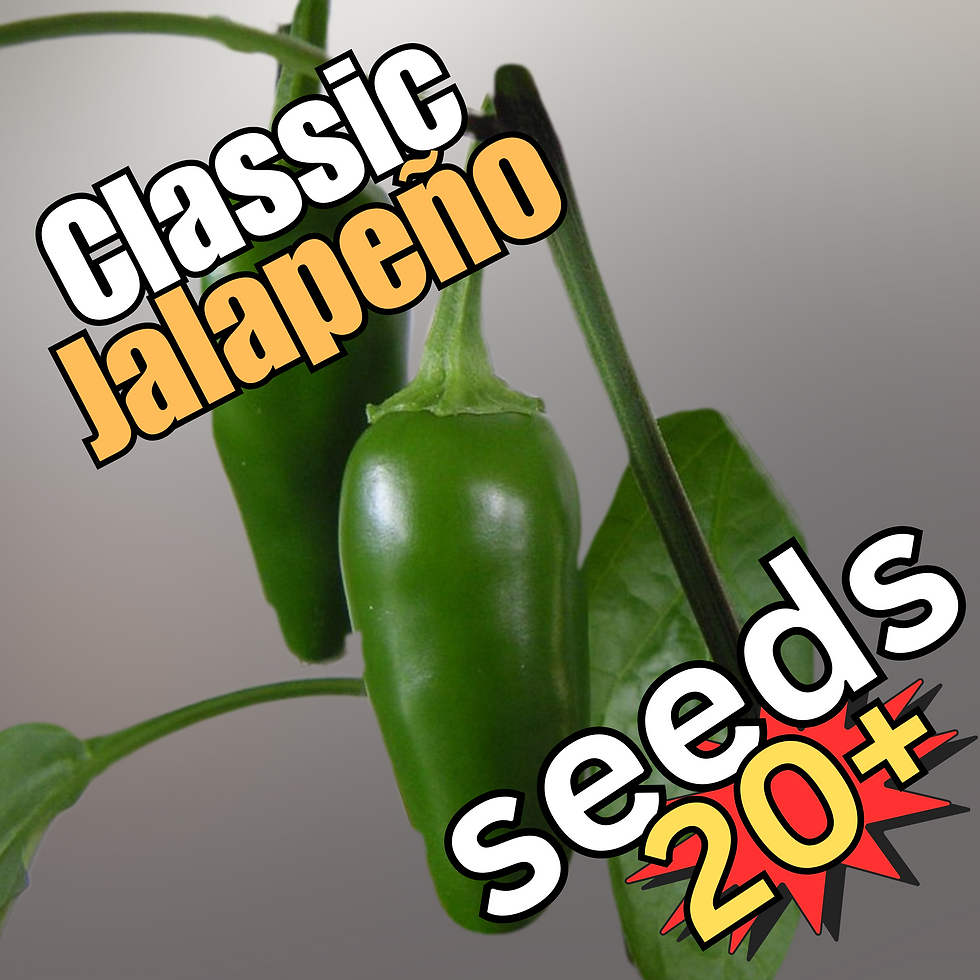 Classic Jalapeño pepper seeds – 20+ seeds per pack from Harmony Springs Farm