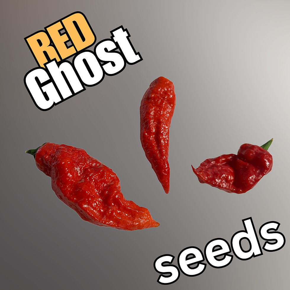 Red Ghost Pepper (Bhut Jolokia) seeds – 10+ seeds per pack from Harmony Springs Farm