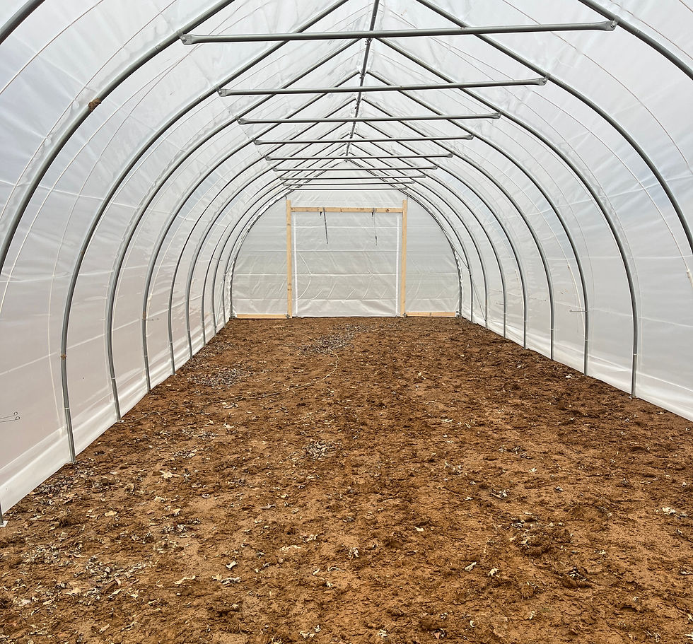 Cold frame nursery structure prepared for hardening off seedlings in late winter