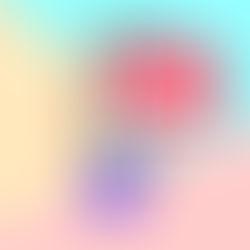 How to Get Google Guaranteed & Dominate Your Local Market with Local Services Ads