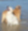 Resized_20160209_090300-1_7389.jpeg