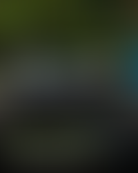 เอ็มจีมาแรงไม่หยุด! ยืนยันความมั่นใจด้วยยอดจดทะเบียนรถ EV พุ่งสูงสุดในไทย 4 เดือนต่อเนื่อง