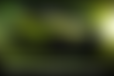 Nissan เปิดตัว All-new Juke EV 100% พลิกโฉม SUV สายแฟชั่น สู่ยุคไฟฟ้า!