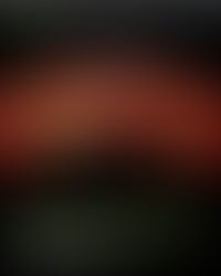 XPENG เปิดเผยความคืบหน้าโครงการ Robotaxi ที่พัฒนาขึ้นจากเทคโนโลยี VLA รุ่นที่ 2