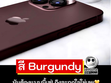 iPhone 13 Promax อาจมีสี Burgundy