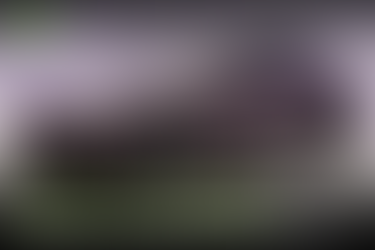 Xpeng เปิดตัว Mona M03 รุ่นปี 2026 ใส่ชิป AI ครั้งแรก 🚗⚡