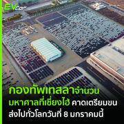 กองทัพเทสลาจำนวนมหาศาลที่เซี่ยงไฮ้