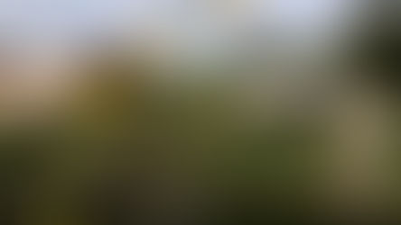 Prefeitura testa escavadeira com braço longo na limpeza de rios em Curitiba